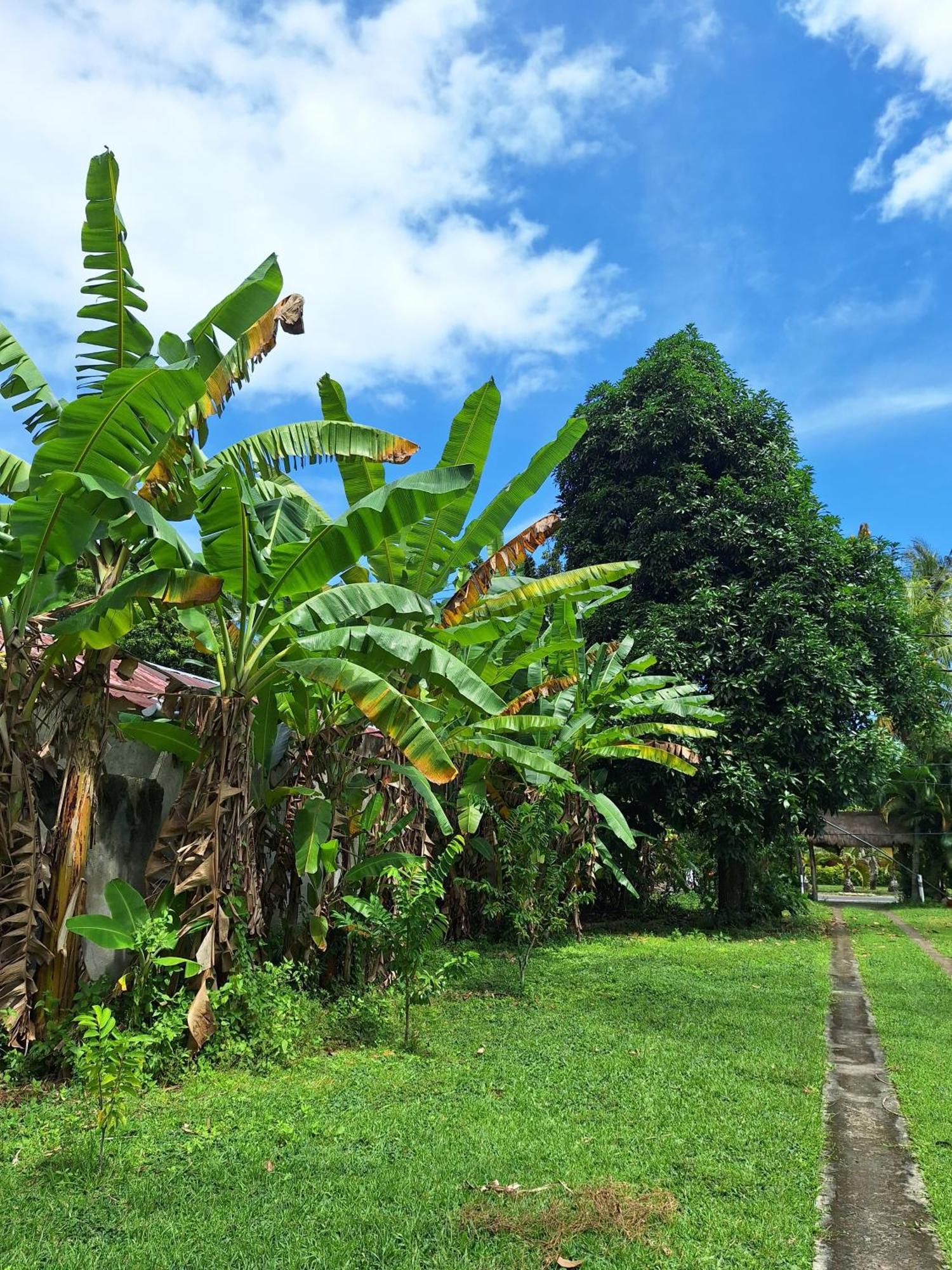 Lendang Eco Lodge Senggigi Exterior foto